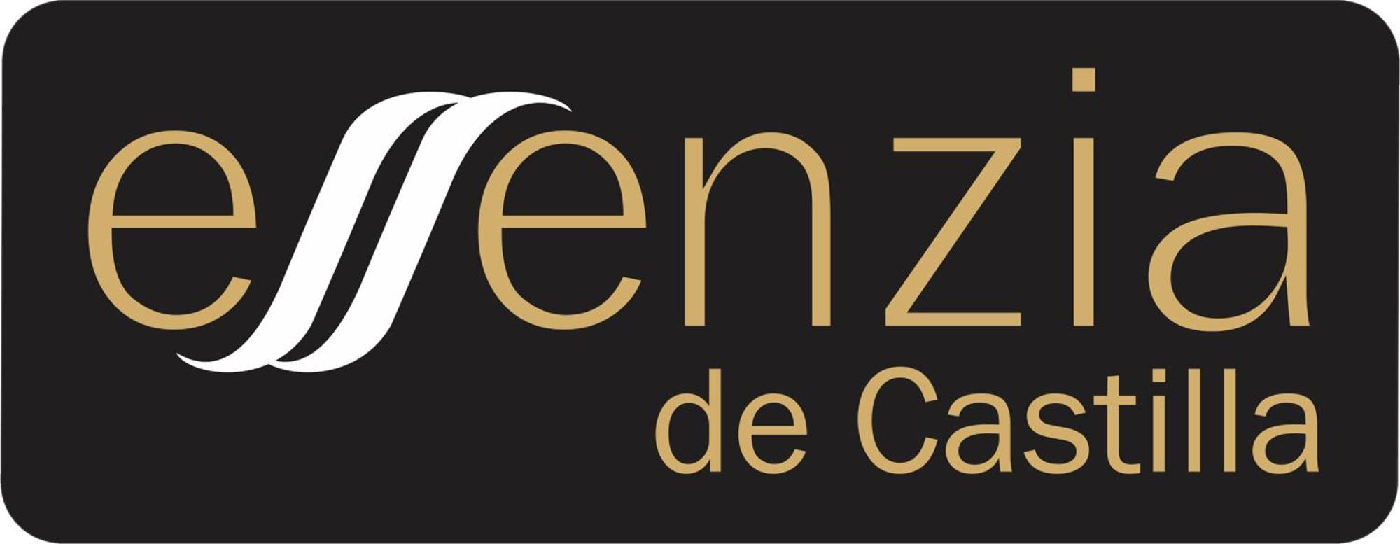 Aparthotel Essenzia De Castilla アランダ・デ・ドゥエロ エクステリア 写真